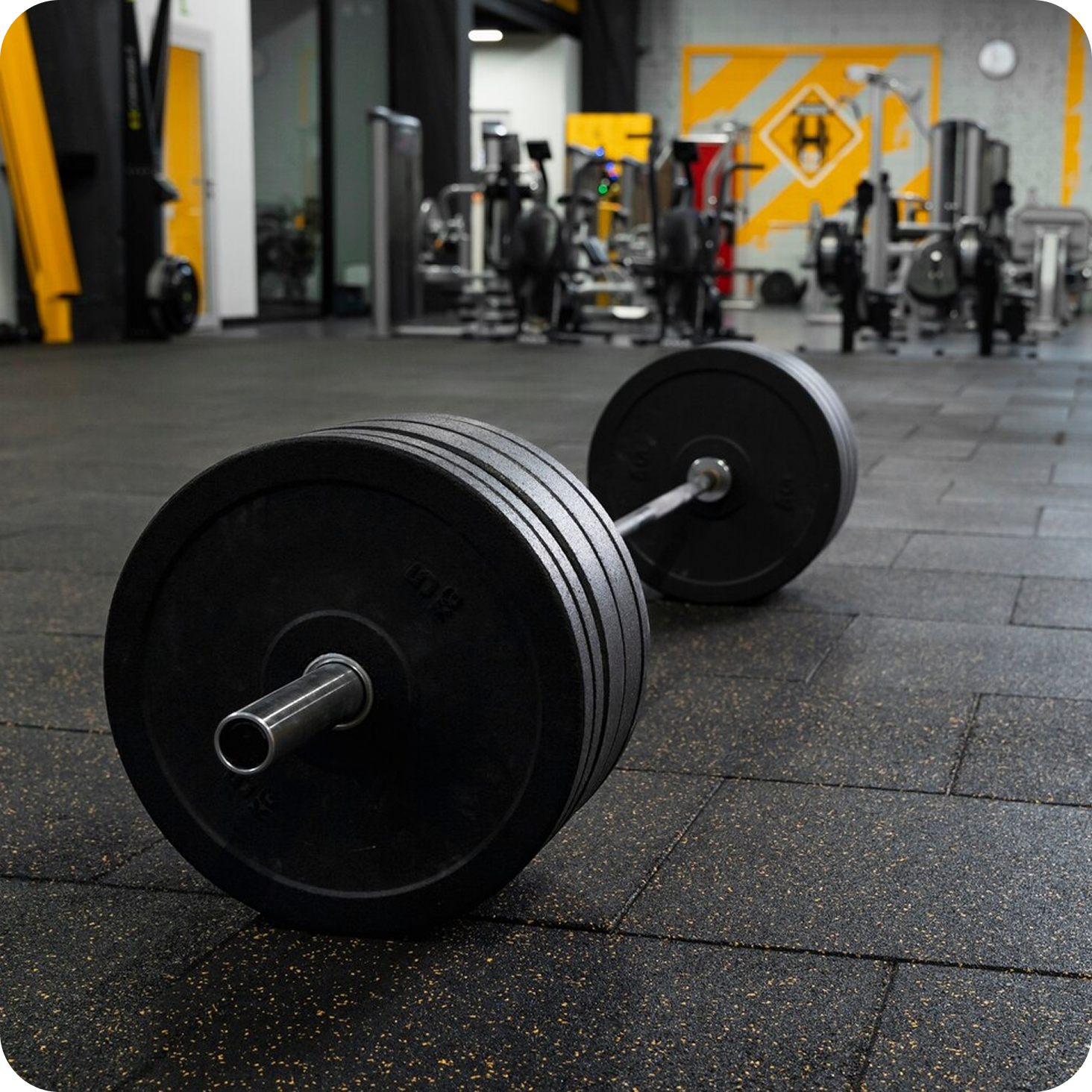 Strength & Conditioning Equipment